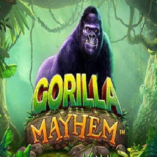 gorilla mayhem